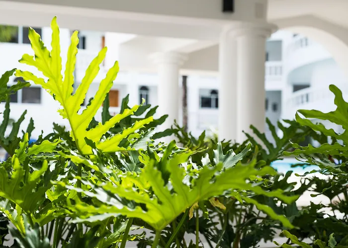 Ocean Palms Residences